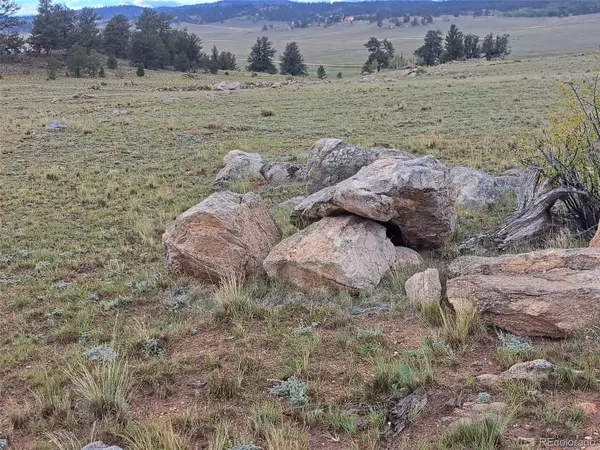 Hartsel, CO 80449,489 Moon Beam DR
