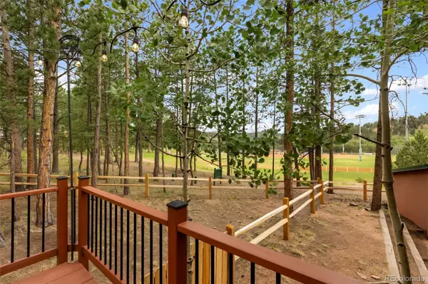 Woodland Park, CO 80863,1343 Terri LN