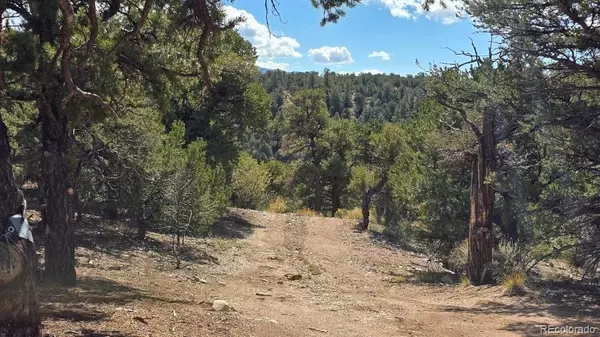 Fort Garland, CO 81133,Lot 4024 Heritage RD