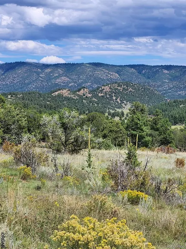 Silver Cliff, CO 81252,15 Arroyo AVE