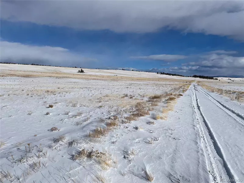 10217 Caddo RD, Hartsel, CO 80449