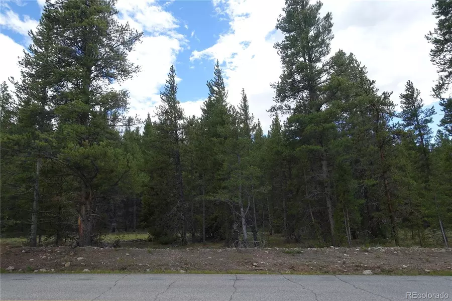 Parcel 2b County Road 9, Leadville, CO 80461
