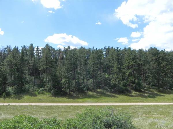 4596 Comanche DR, Larkspur, CO 80118