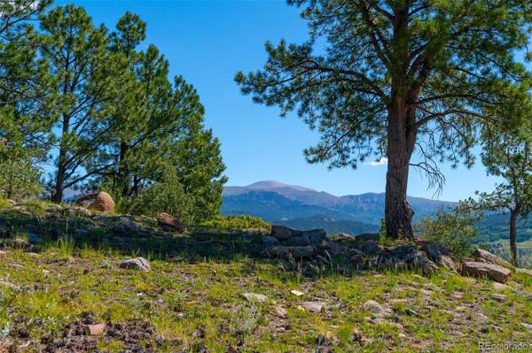 Cripple Creek, CO 80813,Unknown County Road 1