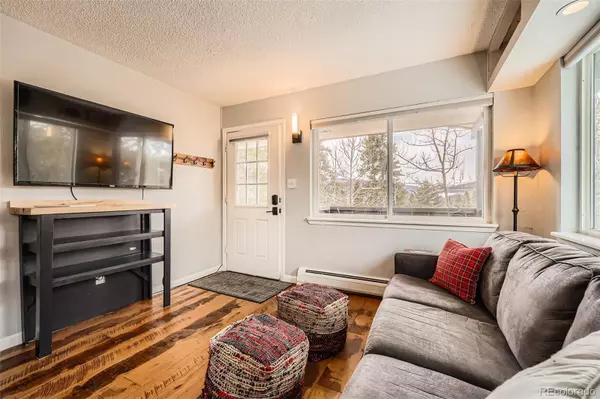 Breckenridge, CO 80424,1941 Boreas Pass RD #1C