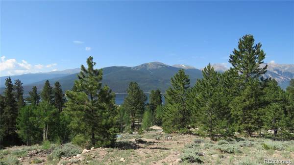 Twin Lakes, CO 81251,179 Twin Peaks DR