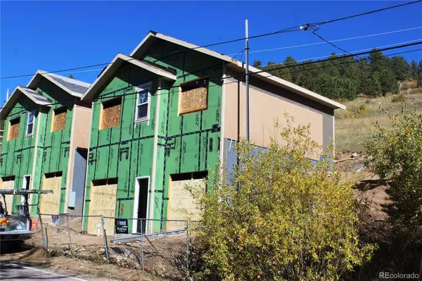 Central City, CO 80427,531 Eureka ST