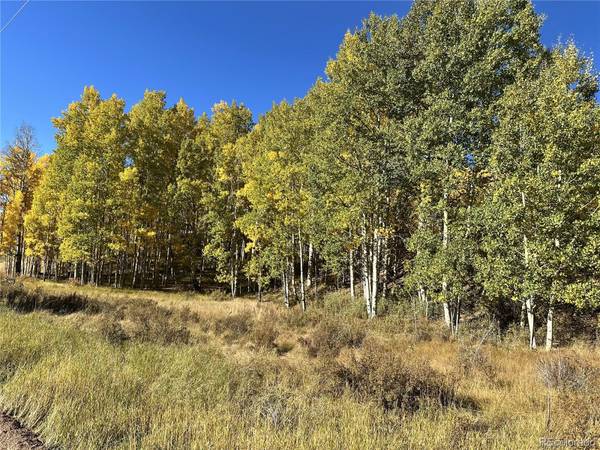 155 Granite LN, Cripple Creek, CO 80813