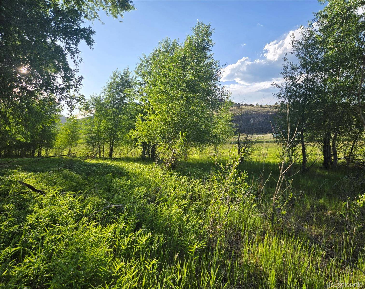 South Fork, CO 81154,118 Caddis CIR