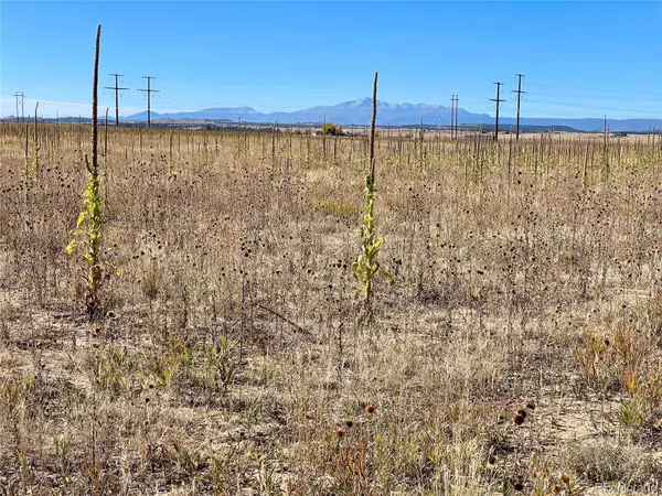 Elbert, CO 80106,Parcel 2 County Road 98