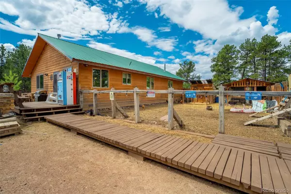 Guffey, CO 80820,141 Cabin LN