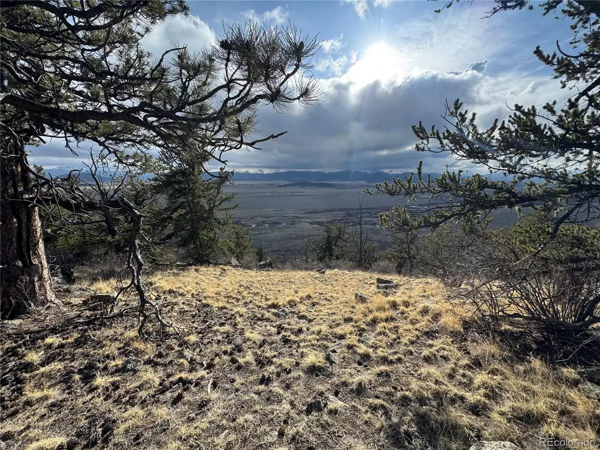 Fairplay, CO 80440,4513 Middle Fork VIS
