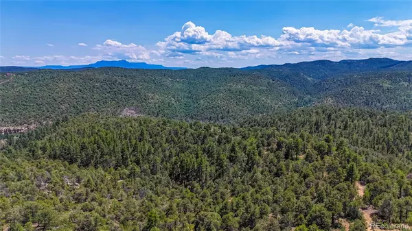 Trinidad, CO 81082,31300 Timber Canyon RD
