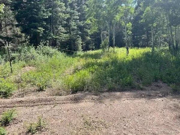 Lot 5757 Balleroy RD, San Luis, CO 81152
