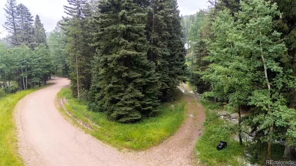 Conifer, CO 80433,11173 S Barney Gulch RD