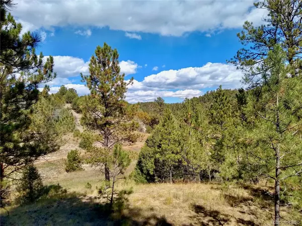 Texas Creek, CO 81223,426 Alden LN