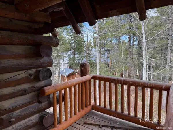 Black Hawk, CO 80422,101 Service Berry LN