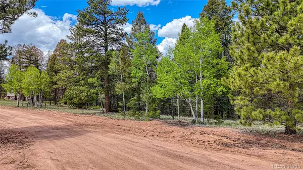 Florissant, CO 80816,26 N Eldorado CIR