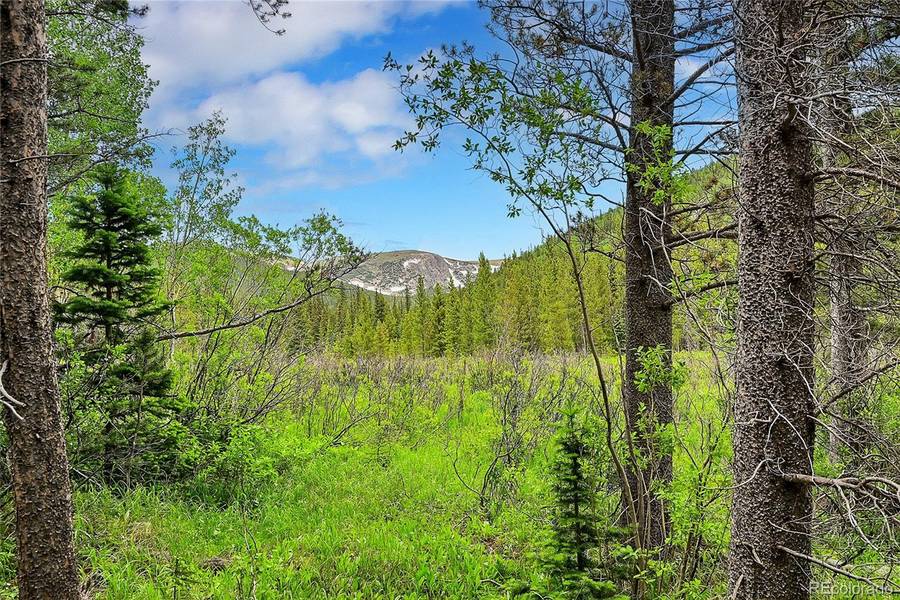 Lot 7 Silver Creek RD, Idaho Springs, CO 80452