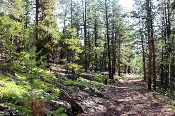 Black Hawk, CO 80422,740 Rangeview CT