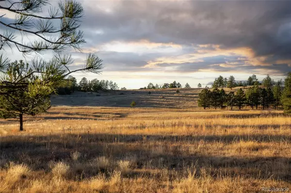 Parker, CO 80134,N/A Woodhaven Ridge RD