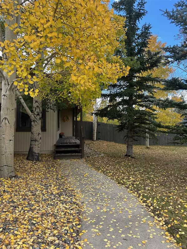 154 Big Elk RD, Dillon, CO 80435