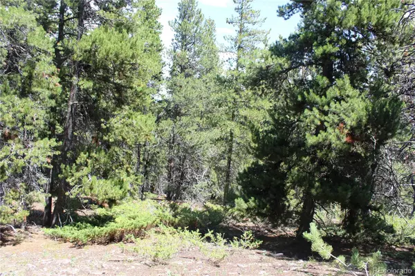 Black Hawk, CO 80422,00 Fs 410.1A
