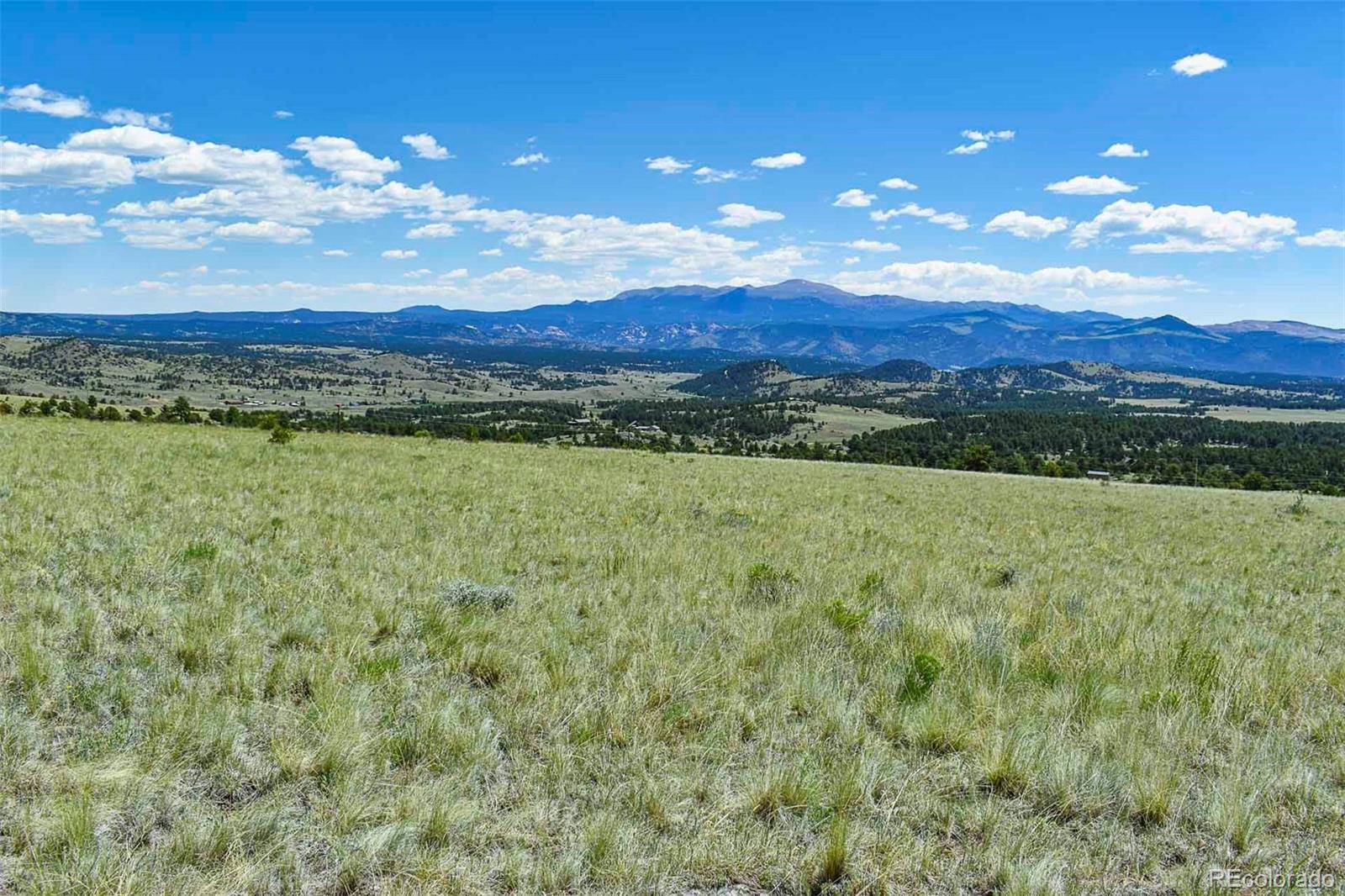 0 Witcher Mountain TRL, Guffey, CO 80820