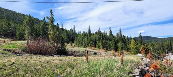 0000 Fall River RD, Idaho Springs, CO 80452