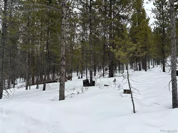 Twin Lakes, CO 81251,142 & 160 Mt Massive RD