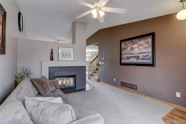 Parker, CO 80138,11162 Tumbleweed WAY