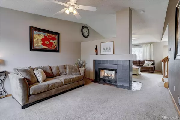 Parker, CO 80138,11162 Tumbleweed WAY
