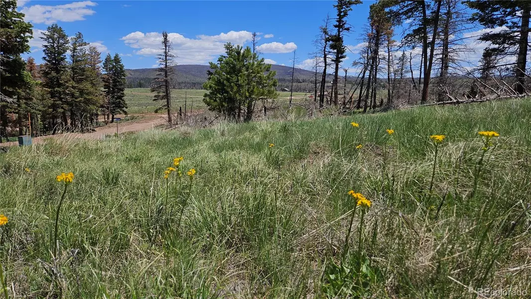 448 Wagon Mesa LOOP, Fort Garland, CO 81133