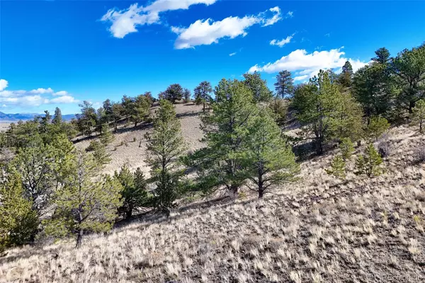 Hartsel, CO 80449,Victor DR