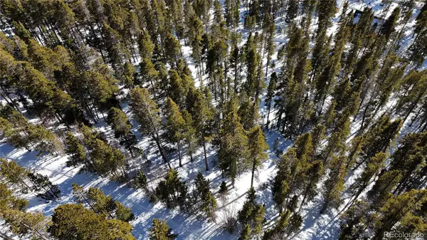 Idaho Springs, CO 80452,Lot 363 Stewart RD