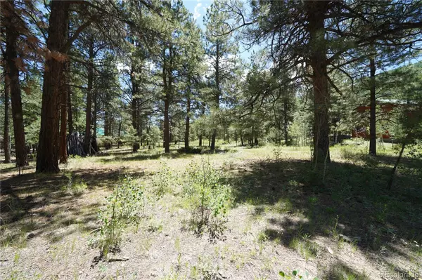 Antonito, CO 81120,136 Elk Meadow RUN
