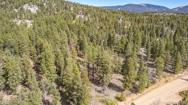 Bailey, CO 80421,449 Forest DR