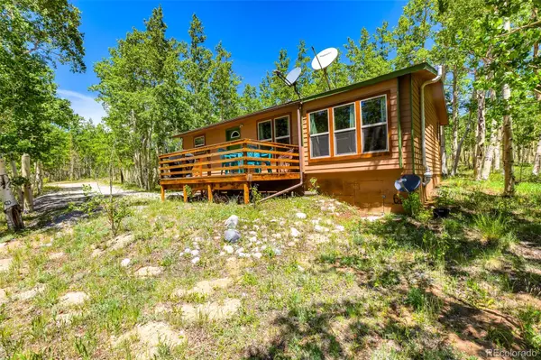 Fairplay, CO 80440,2436 High Creek RD