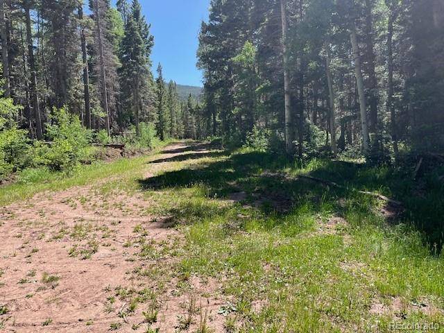 Fort Garland, CO 81133,Lot 2684 Coder PL
