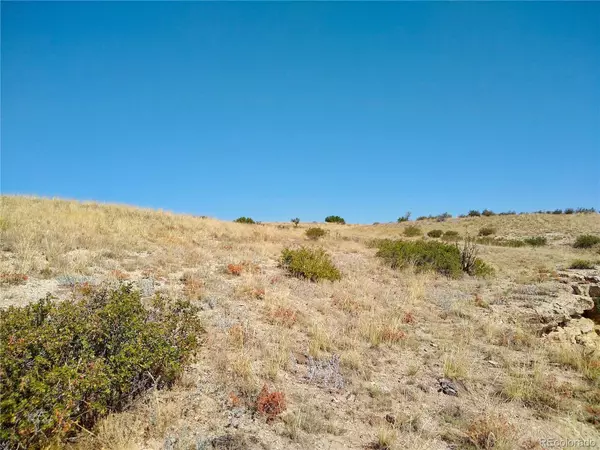 Walsenburg, CO 81089,110 County RD