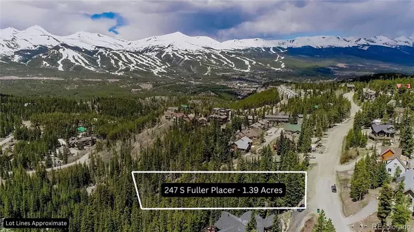 Breckenridge, CO 80424,247 S Fuller Placer RD