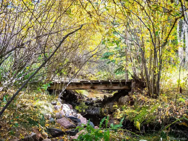 Nederland, CO 80466,531 Caribou RD