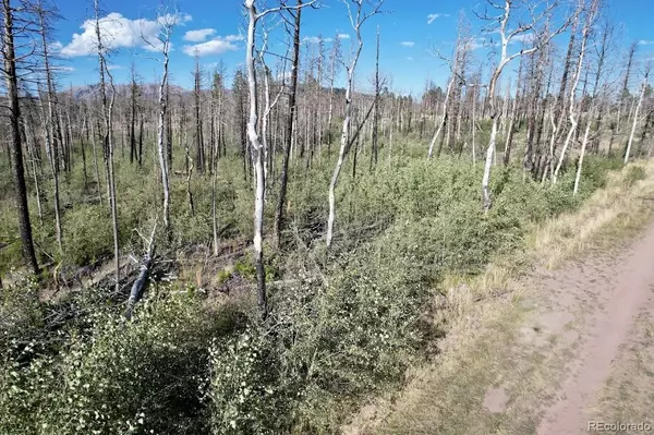 Fort Garland, CO 81133,915/917 Ueda PL