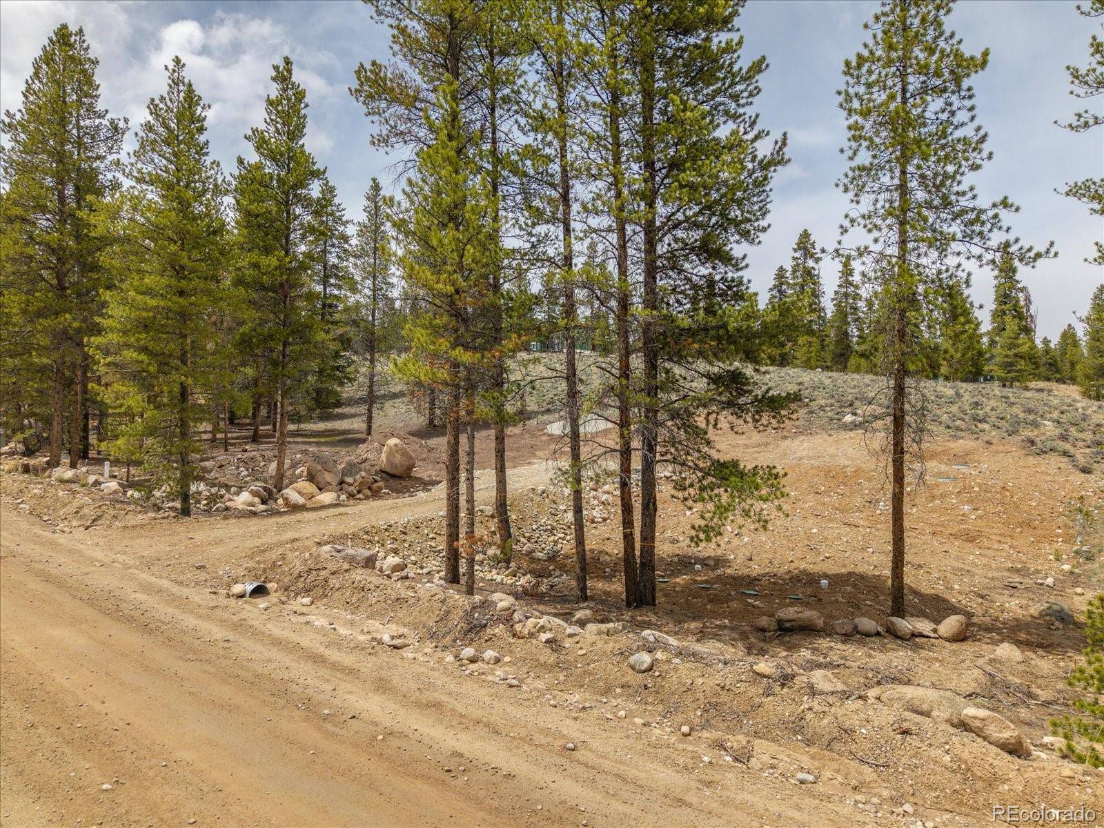 Leadville, CO 80461,123 Birch DR