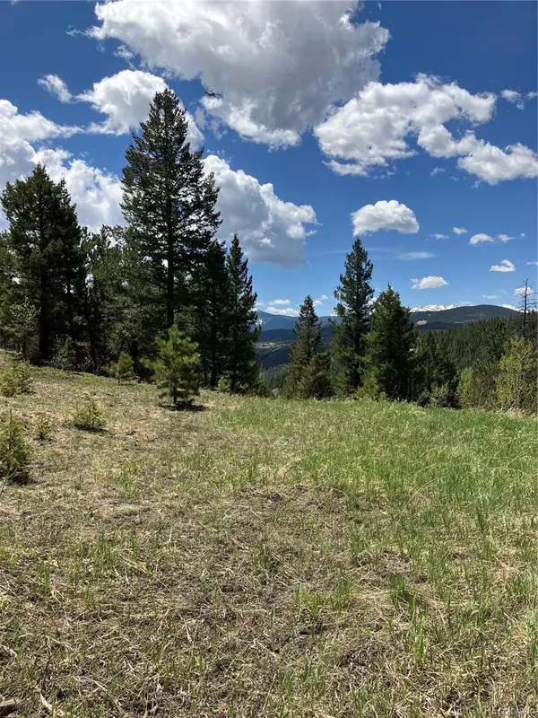 1700 Dory Hill RD, Black Hawk, CO 80422