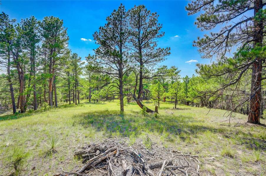 24400 High Timber LN, Agate, CO 80101