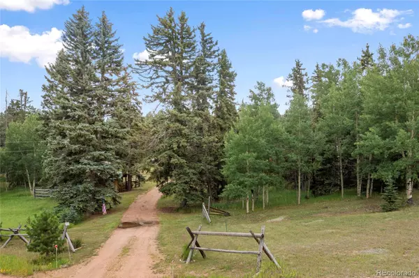 Florissant, CO 80816,135 Daniwood GRV