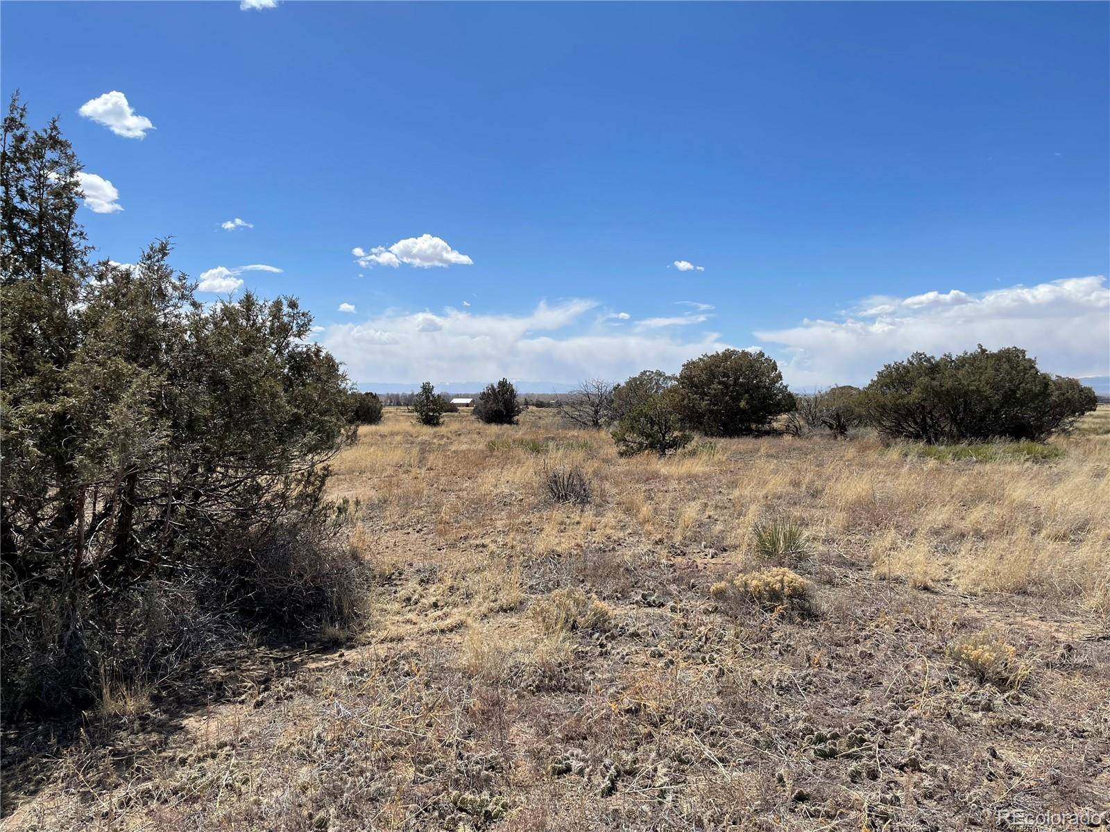 Crestone, CO 81131,1307 Spanish Creek RD