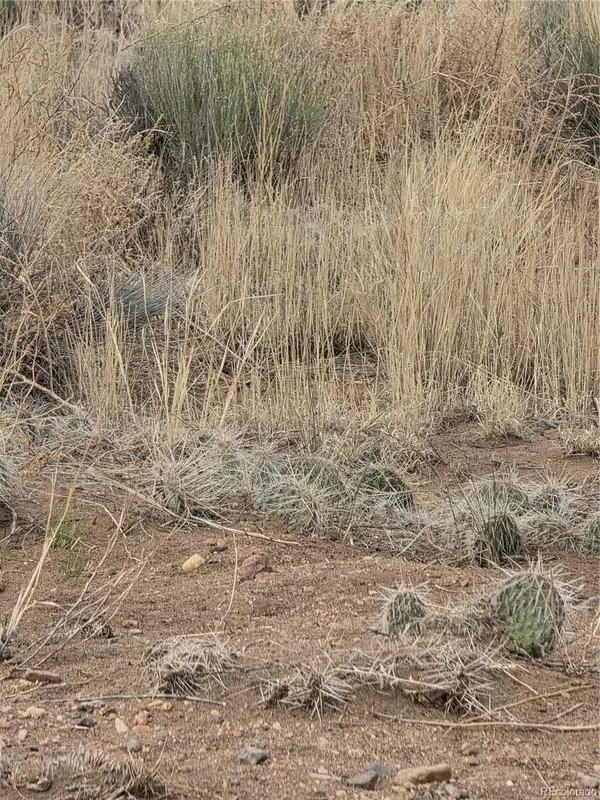 Blanca, CO 81123,Lot 17 E Denver Rd.
