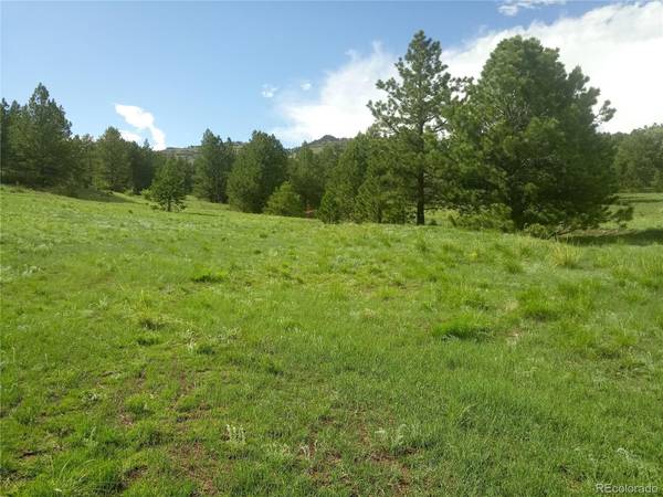TBD Post RD, Guffey, CO 80820